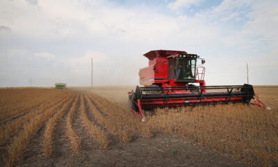 Um produtor rural faz a colheita de soja nas proximidades de Worthington, Minnesota (Scott Olson/Getty Images)