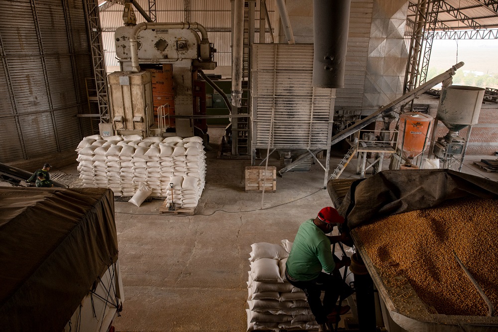 Agricultural Expansion In Brazil’s Amazon