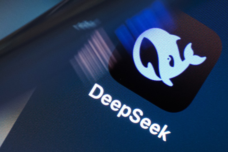 DeepSeek aplicativo icon