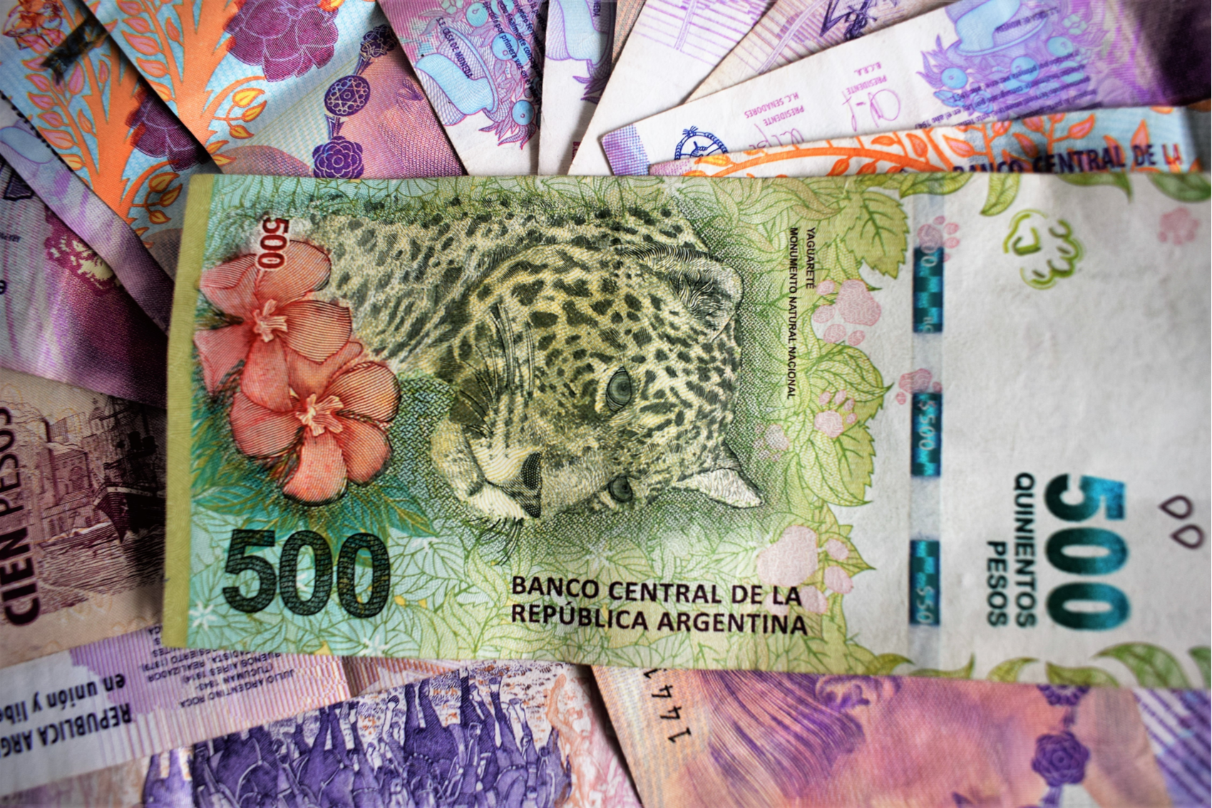 notas de moeda argentina